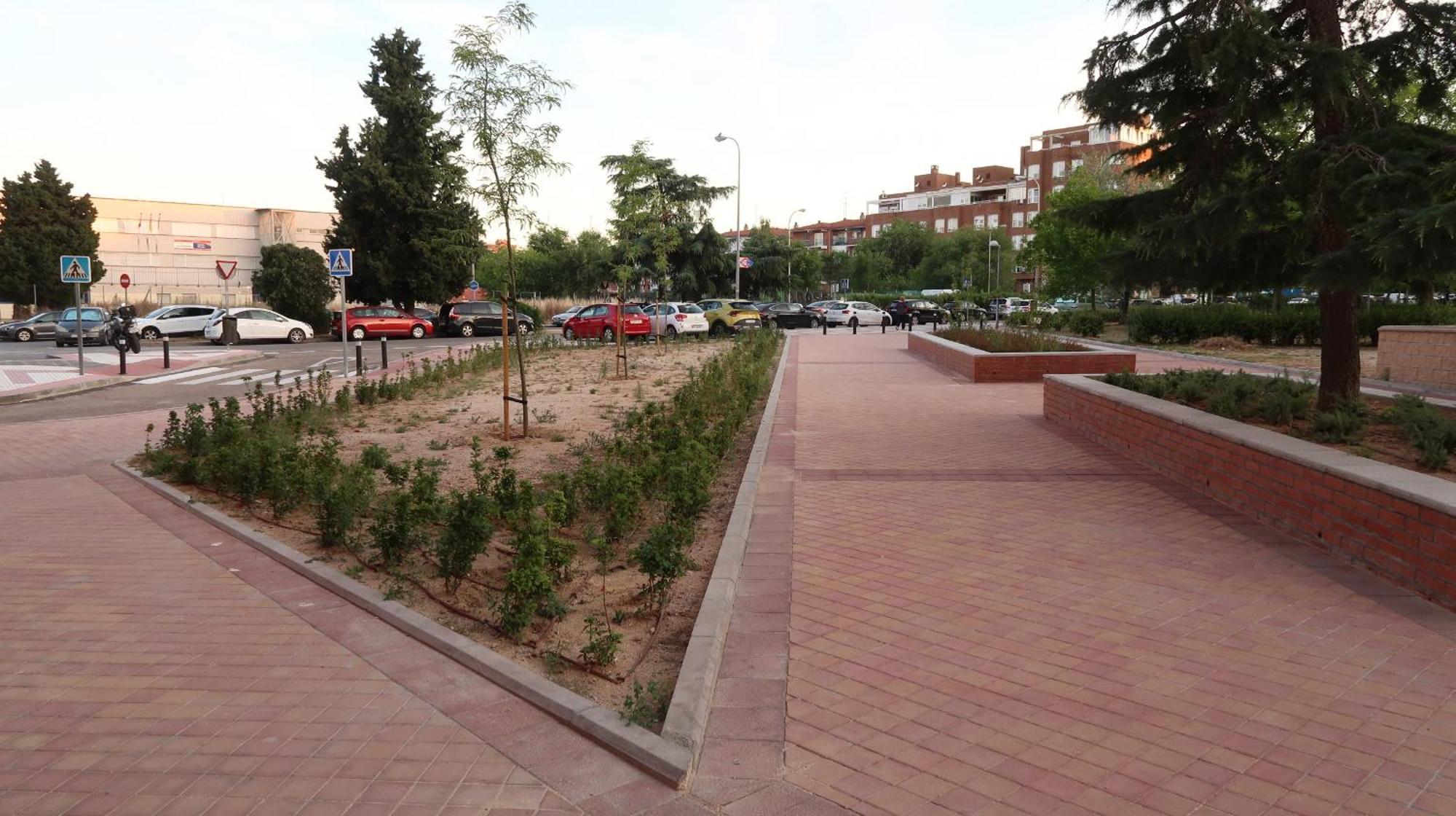 Ama Metropolitano 04 Madri